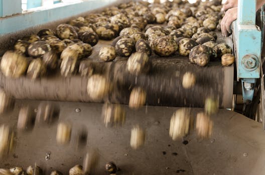 Innovating Food: How Technology is Transforming Our Plates and Planet