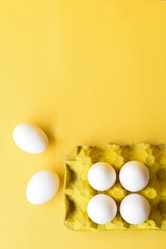 Unlocking Culinary Creativity: A Guide to Food Materials Mastery